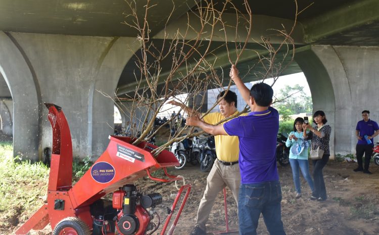  Trường đại học nhacai 88
 hưởng ứng phong trào “Ngày Chủ Nhật Xanh”